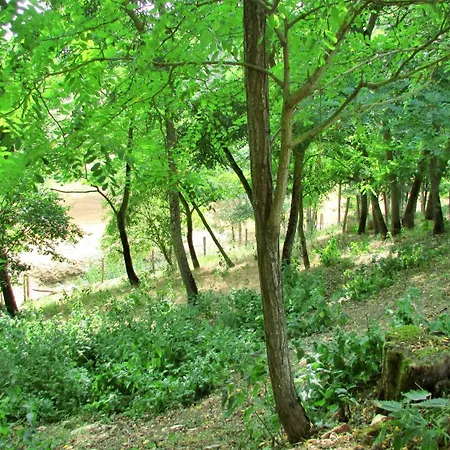 Guest house En Pascot: Charming With Two Additional *