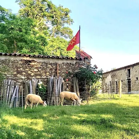En Pascot - Avec Salle De Bain Privative Et 2 Avec Salle De Bain Commune - Billard, Jardin Et Barbecue - A 10 Min De Villefranche, Nailloux Et Du Canal Du Midi - A Louer Separement Ou Ensemble 3*