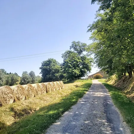 Penzion En Pascot - Avec Salle De Bain Privative Et 2 Avec Salle De Bain Commune - Billard, Jardin Et Barbecue - A 10 Min De Villefranche, Nailloux Et Du Canal Du Midi - A Louer Separement Ou Ensemble
