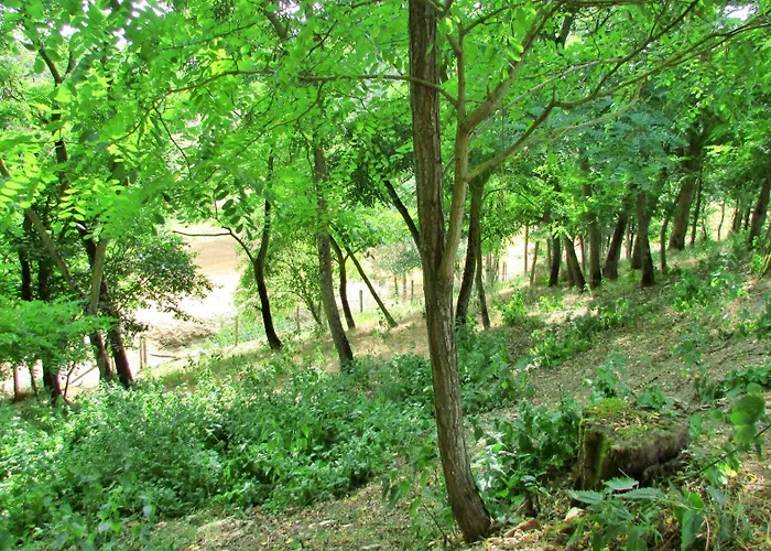 게스트하우스 En Pascot - Avec Salle De Bain Privative Et 2 Avec Salle De Bain Commune - Billard, Jardin Et Barbecue - A 10 Min De Villefranche, Nailloux Et Du Canal Du Midi - A Louer Separement Ou Ensemble 3*