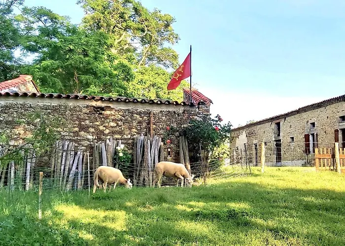 En Pascot - Avec Salle De Bain Privative Et 2 Avec Salle De Bain Commune - Billard, Jardin Et Barbecue - A 10 Min De Villefranche, Nailloux Et Du Canal Du Midi - A Louer Separement Ou Ensemble 3*